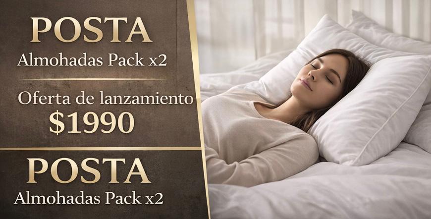 Almohadas Premium Tipo Hotel 5 Estrellas - Pack x2